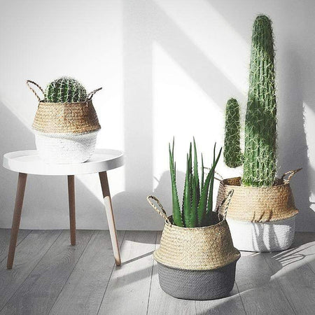 Panier en osier tendancefactory